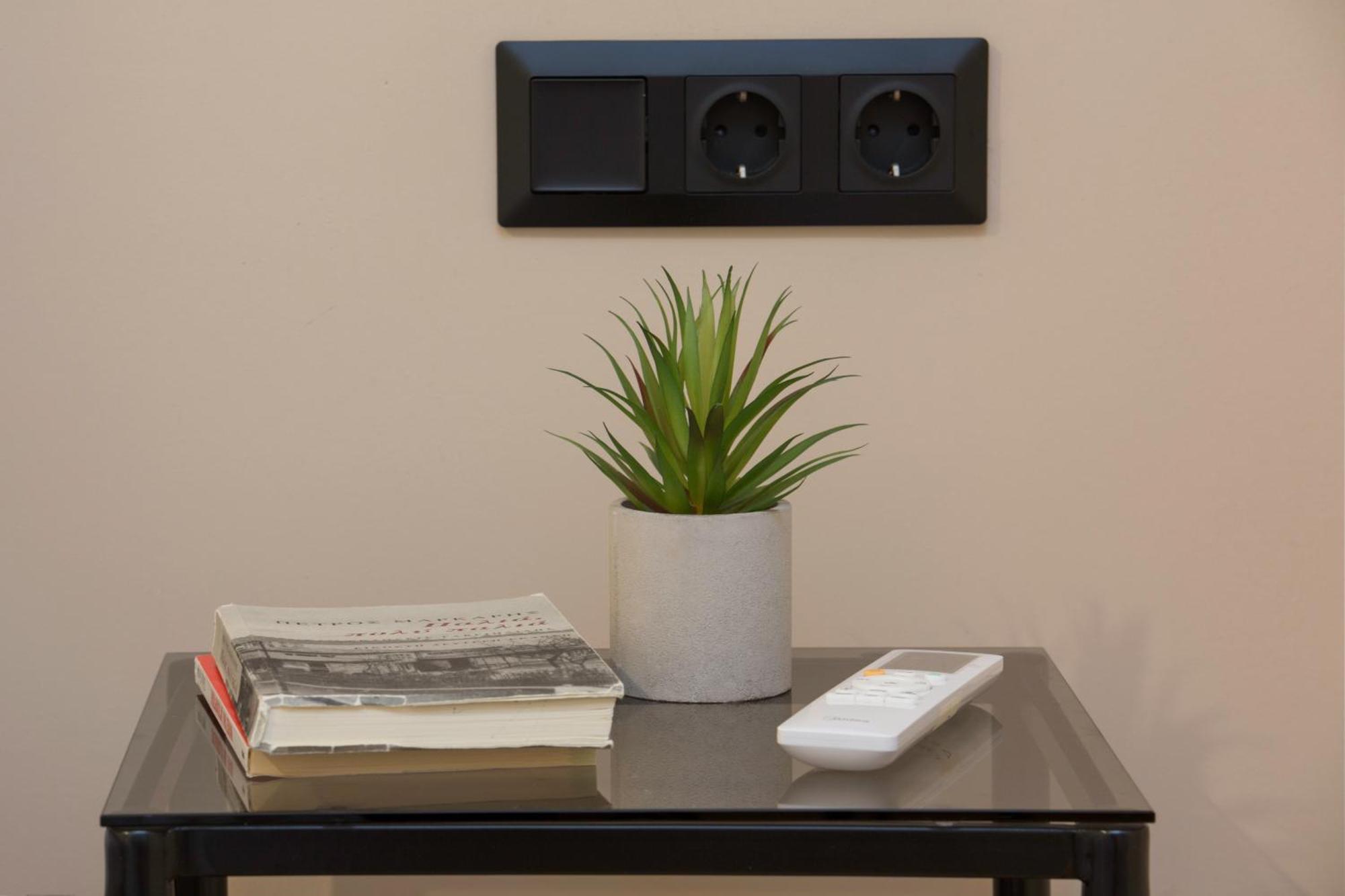 Urban Spacious Apartment Near Kallimarmaron アテネ エクステリア 写真
