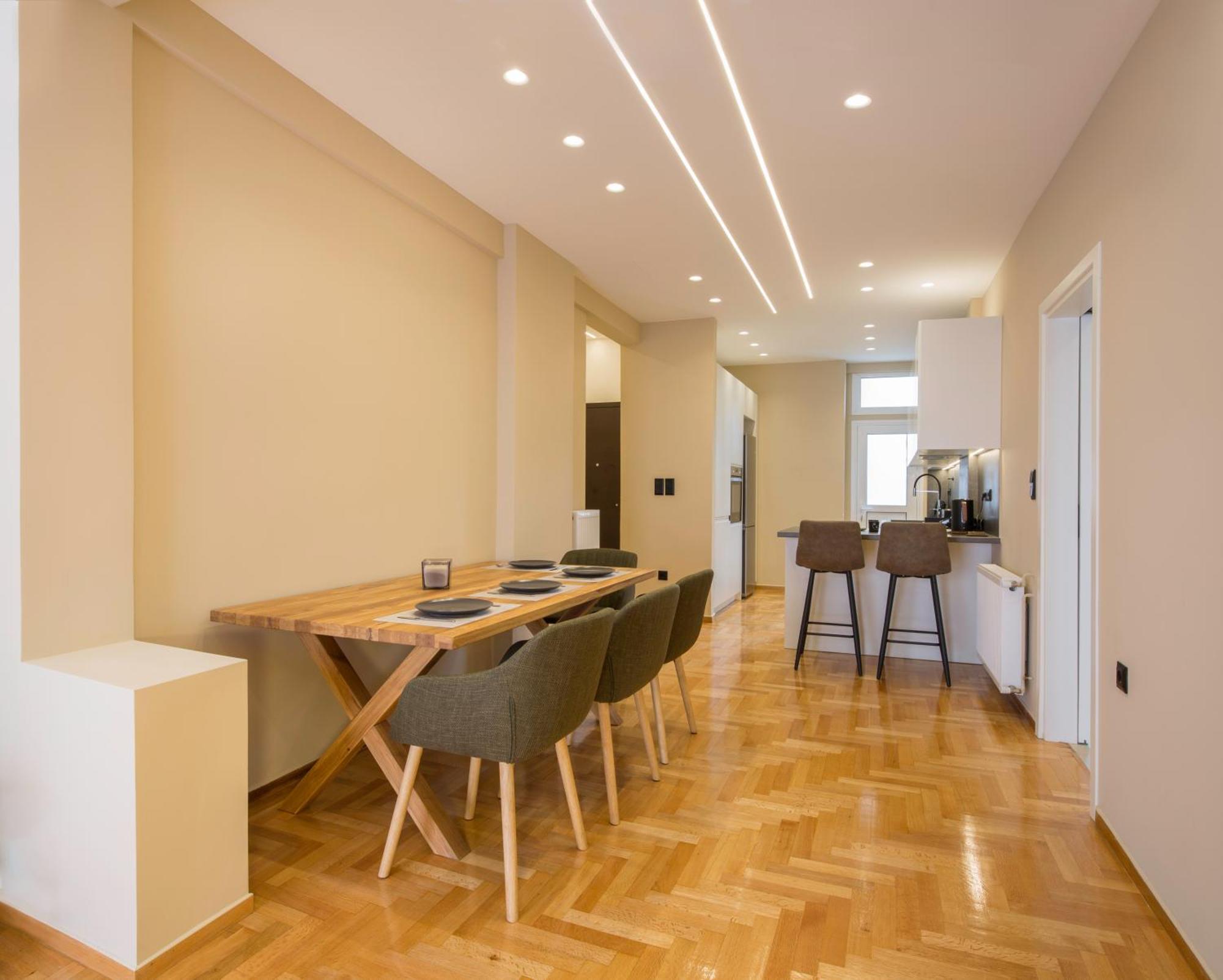 Urban Spacious Apartment Near Kallimarmaron アテネ エクステリア 写真
