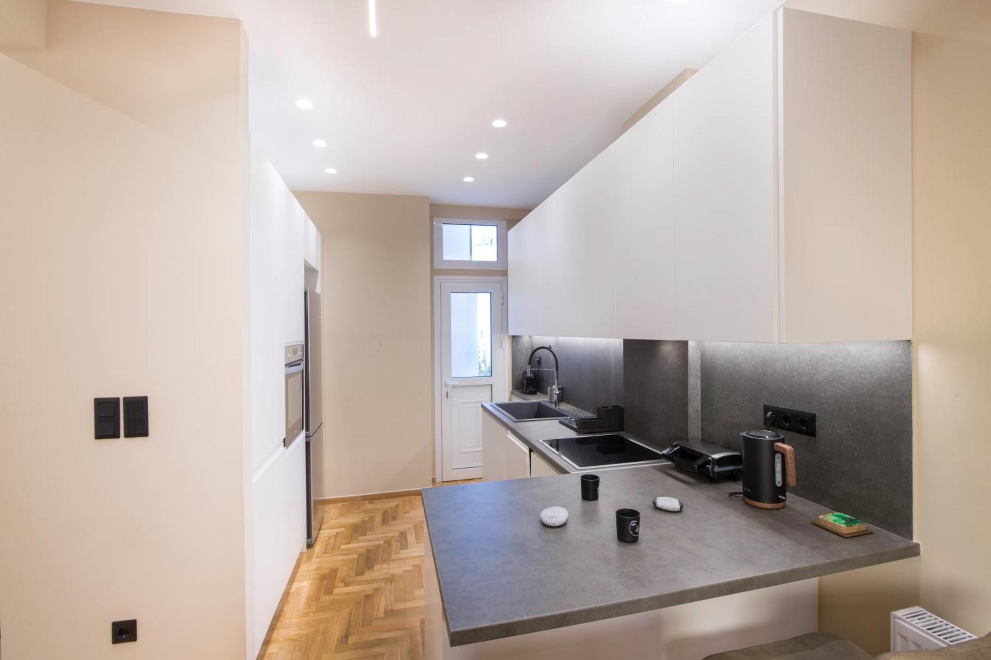 Urban Spacious Apartment Near Kallimarmaron アテネ エクステリア 写真
