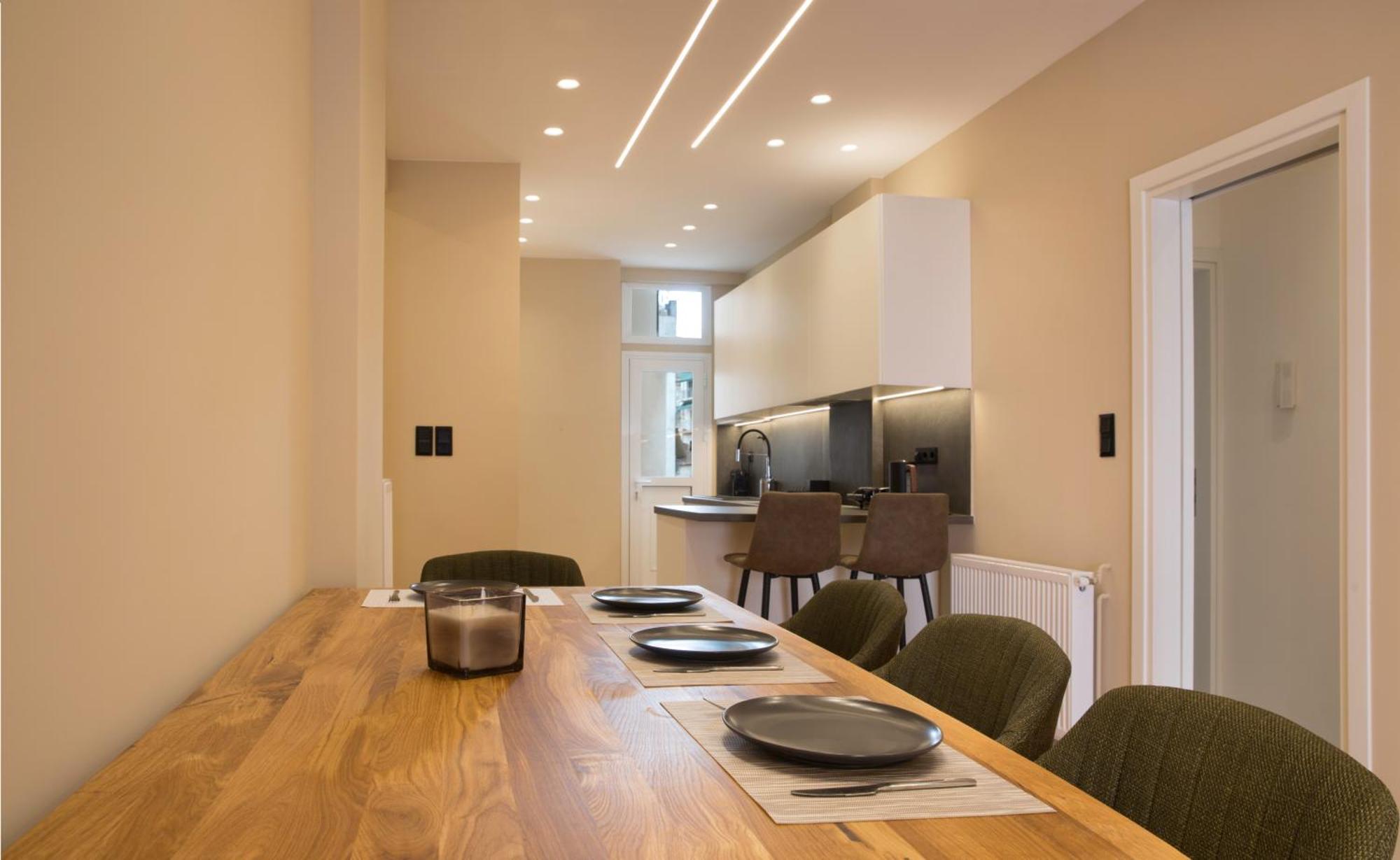 Urban Spacious Apartment Near Kallimarmaron アテネ エクステリア 写真