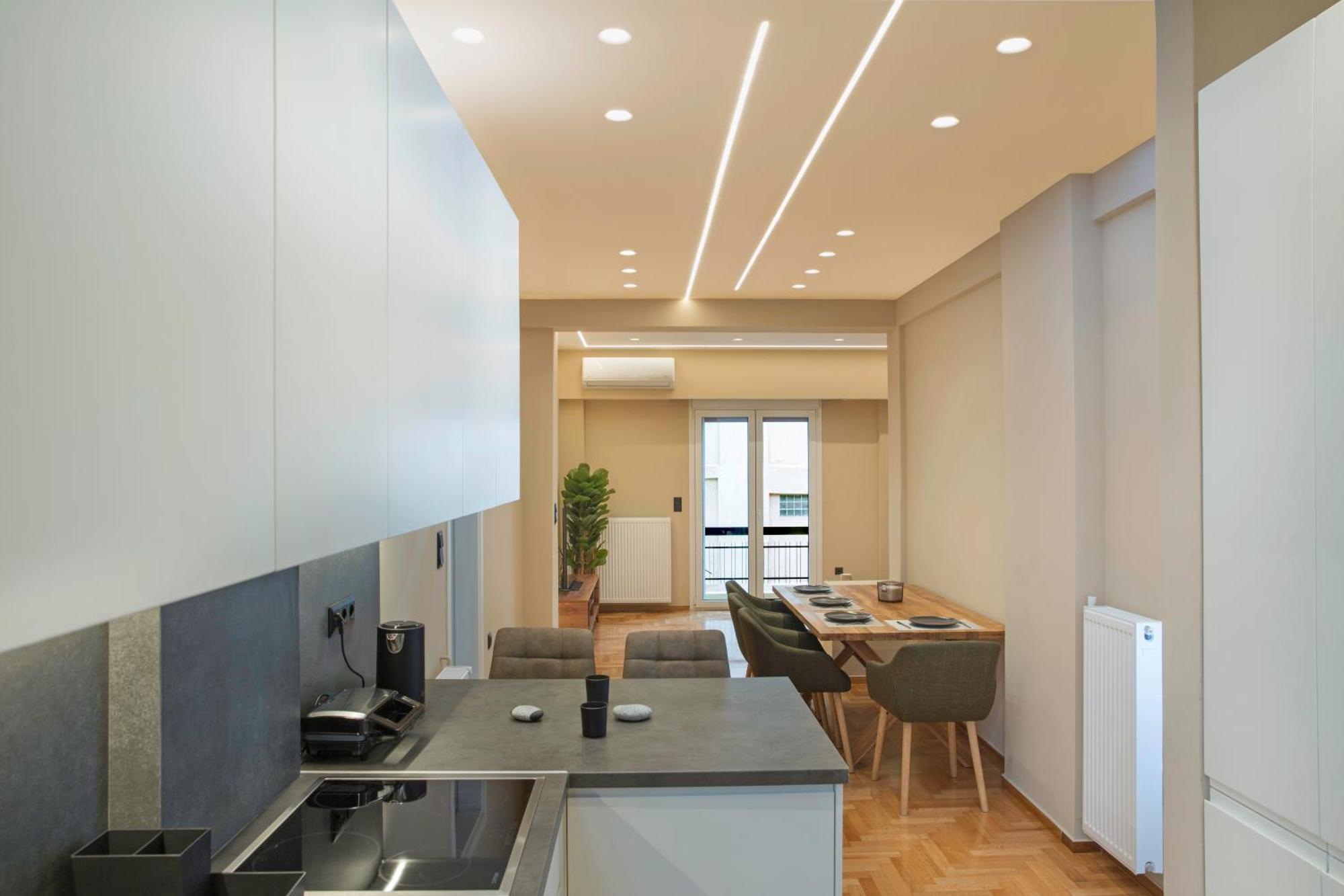 Urban Spacious Apartment Near Kallimarmaron アテネ エクステリア 写真