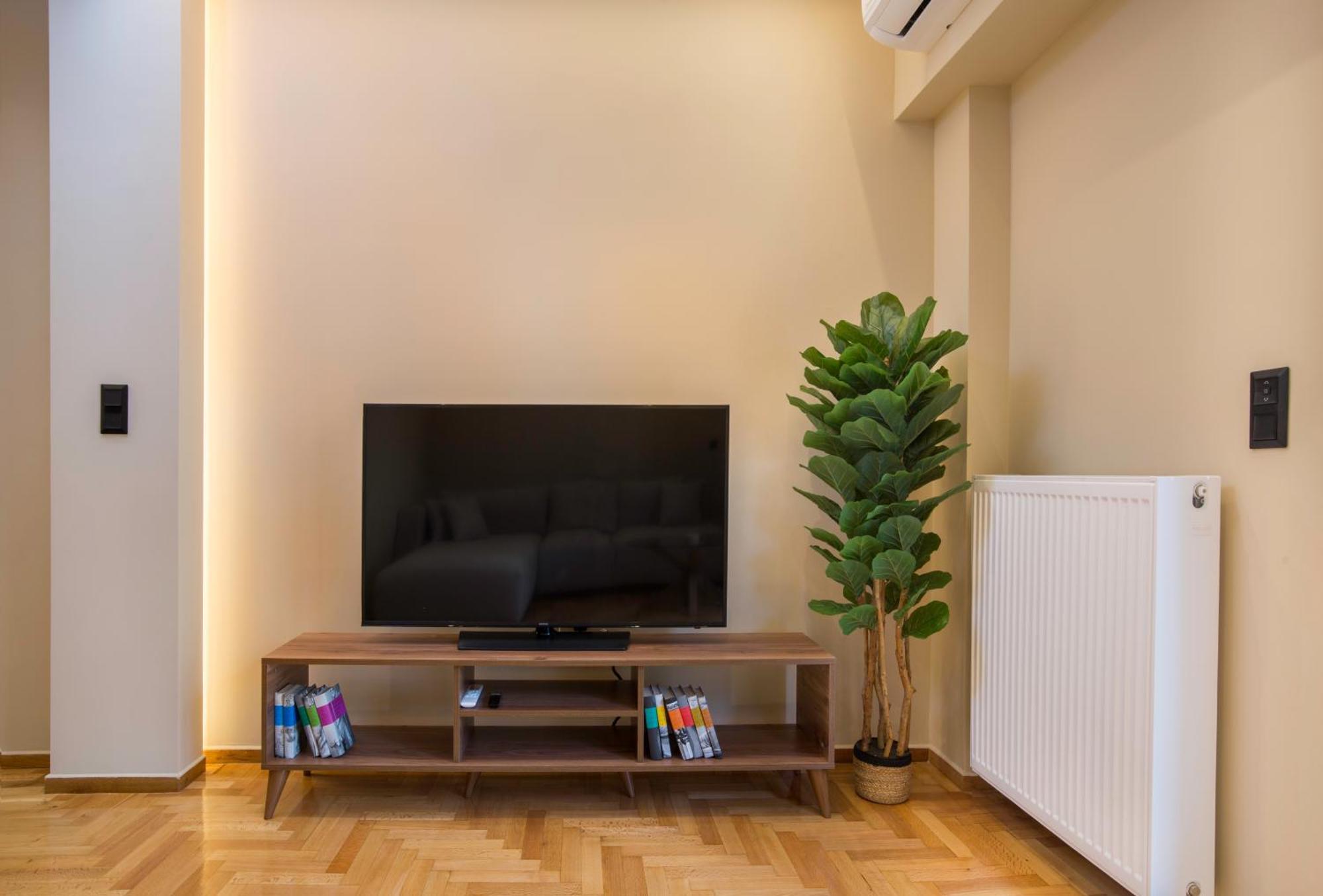 Urban Spacious Apartment Near Kallimarmaron アテネ エクステリア 写真